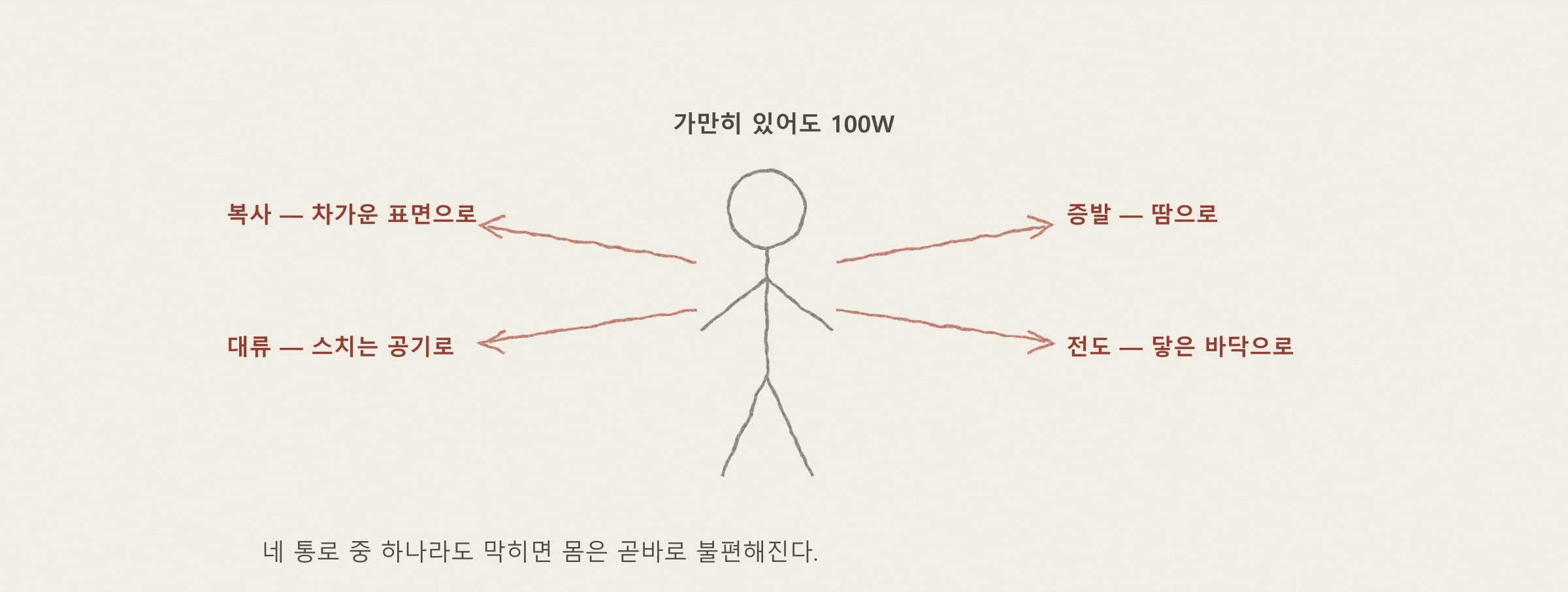 [해가패시브 칼럼 13편] 우리 몸은 작은 열기관 — 대사·습도·이슬점으로 읽는 쾌적함