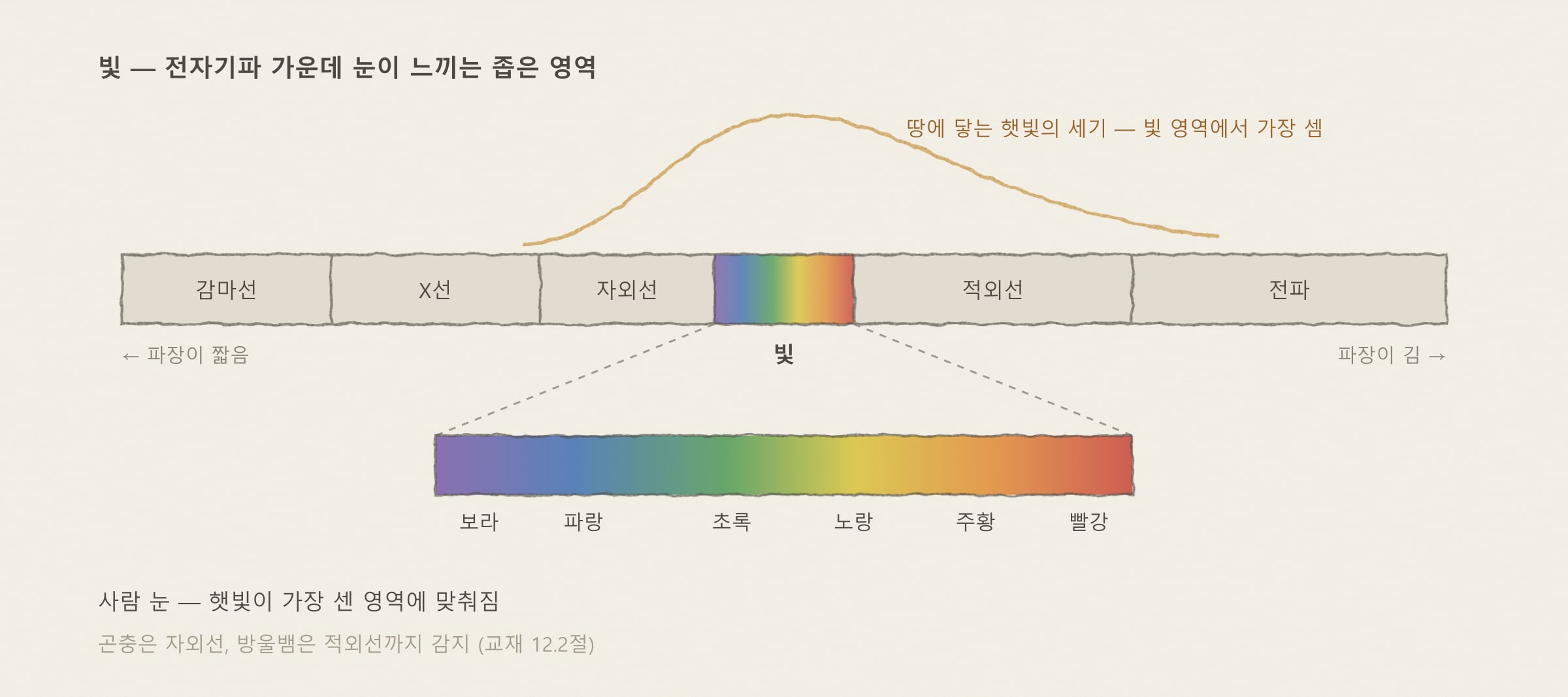 [해가패시브 칼럼 37편] 빛이란 무엇인가 — 색·반사·투과와 인간의 시각 — 개념을 그린 도해