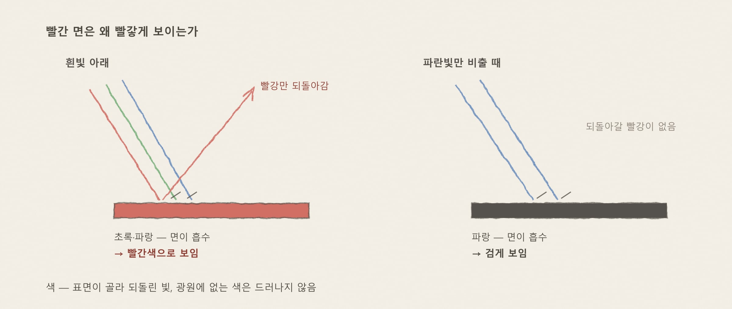 색은 반사된 빛 — 교재 그림 12.4c·12.4d를 바탕으로 다시 그림