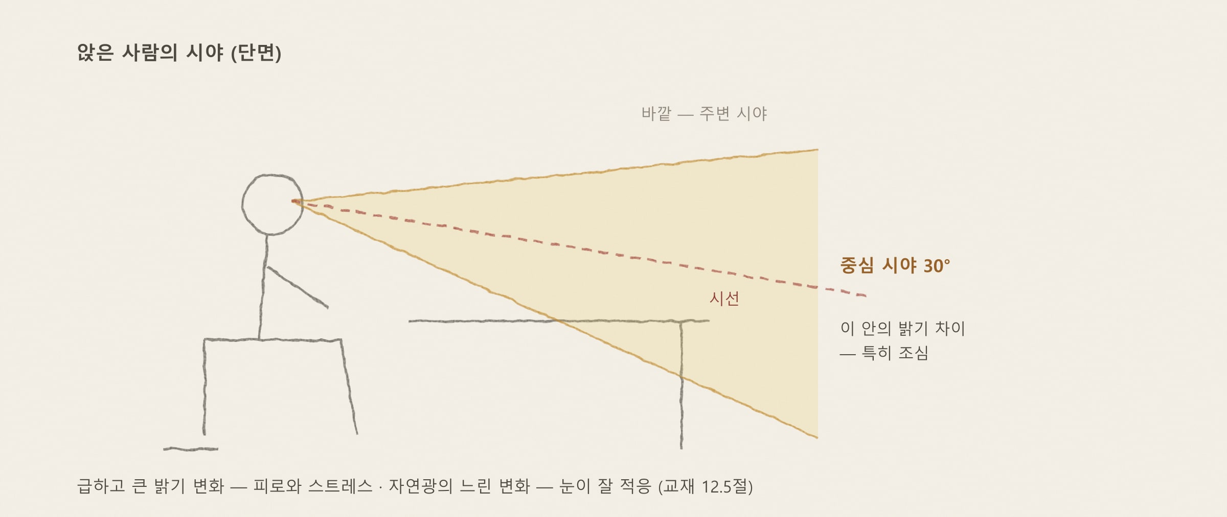 중심 시야 30° — 교재 그림 12.5c를 바탕으로 다시 그림